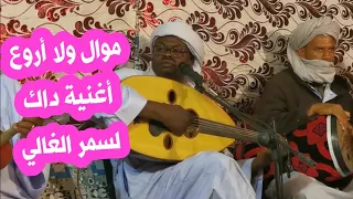 موال ولا أروع مع اغنية داك لسمر الغالي  للفنان ناجم  أدرار دندنها