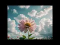 Relaxing music Relaxing Sleep Music,Beautiful,Sleep,K-pop style Calming_: Where The Wind Once Stayed