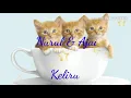 Ajai & Nurul ~ Keliru