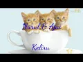 Lagu Ajai \u0026 Nurul ~ Keliru