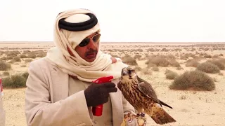 سق ياسعد   اداء  عبدالعزيز العليوي    من مقناص العراق      دندنها