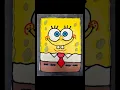 From SPONGE CAKE to SPONGEBOB