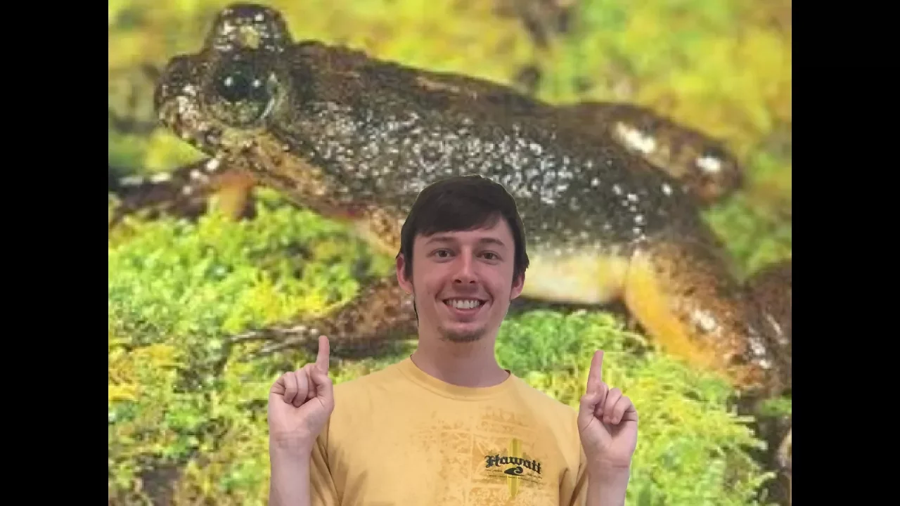 Gastric-Brooding Frogs