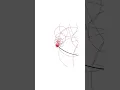 Animating the rhythm of an eighth note with an Music and math in perfect harmony