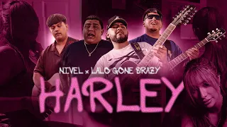 Nivel Lalo Gone Brazzy - Harley