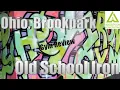 OLD SCHOOL IRON EVERYTHING YOU WOULD NEED IN ONE GYM IN BROOKPARK OHIO Gym Review