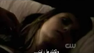                                    مترجمه دندنها