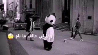 بنهاري اتخيل طيفك وبليلي حالف ما نام    دندنها