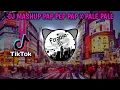 Download Lagu DJ PAP PEP PAP X PALE PALE MASHUP 🔈🔉🔊 | Ferguso ID MP3