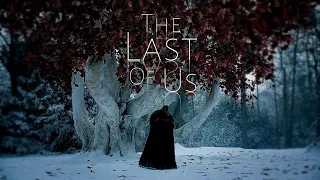 GoT House Stark The Last Of Us 