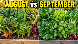 August vs September I Planted the Same 15 Fall Crops Which Won