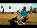 Mr No Name Yuba City - Dumped Dog with Broken Leg