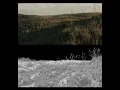 Breakdown Animating Realistic Grass in Maya with MASH
