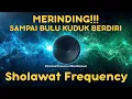 Download Lagu Sholawat Frequency: Bass Slap + Horeg = Merinding Sampai Bulu Kuduk Berdiri! @SholawatFrequency