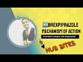 How is BREXPIPRAZOLE different from ARIPIPRAZOLE Mechanism of action of REXULTI Dr Rege