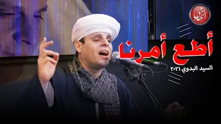 أطع أمرنا   السيد البدوي ٢٠٢١   محمود التهامي                    دندنها