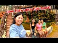 Download Lagu I Took Them To This Place! Our Food Is Gone! Who Stole It??
