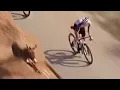 Lagu Cyclist Herds a Donkey Away Using his Bike?! Tour of Oman 2026 Stage 1