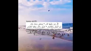 تلاوة هادئة من سورة الرحمن كل من عليها فان حالات واتس آب دينية قرآن Quran 
