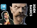 Maya XGen Basics Tutorial Learn How To Create Hair