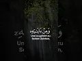 Download Lagu Surah Ar Rum [30:21] | Al Minshawi | Deutsch