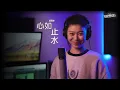Download Lagu 【抖音熱歌】Ice Paper《心如止水》EDM Cover ( 蔡恩雨 Priscilla Abby )