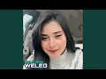 Download Lagu Weleg
