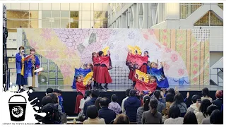 Download 【4K】『ハヰカラ』東京花火（早稲田祭2022 理工展）- \ MP3