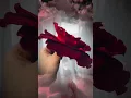 Download Lagu BIG SIZE 16-17cm Velvet Flower Brooch DIY Hoa vải cài áo