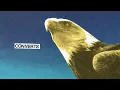 Protomartyr - Converts (Official Audio)