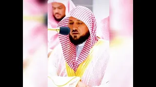 الشيخ ماهر المعيقلي   ر ب  ن ا لا  ت ؤ اخ ذ ن ا إ ن ن  س ين ا أ و  أ خ ط أ ن ا   دندنها