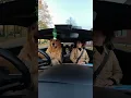 Lagu GOLDEN RETRIEVER KRIJGT RIJLES 😭🚗 (AI maakt het té echt!)