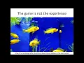 Intro to Game Development - 22