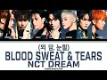 Lagu NCT DREAM (AI) '피 땀 눈물 (Blood Sweat \u0026 Tears) (original song by BTS)