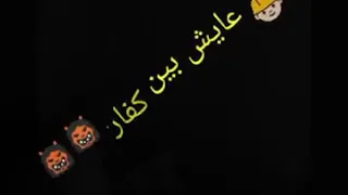 حاله واتس      بيكا انفجار ع خط النار دندنها
