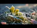 Download Lagu New Thing - Soaking Worship Instrumental | Prayer and Devotional