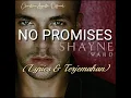 Download Lagu Shayne Ward - NO PROMISES (Lyrics \u0026 Terjemahan)