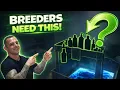 Whelping puppies like a pro - Inside My Whelping Room