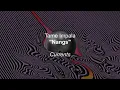 Tame Impala - Nangs (Lyrics)
