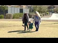 Rent a Grandma provides service and purpose for clients employees owner says