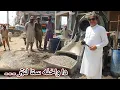 Aam Olas: Ep # (1892) | دا واخله ستا لنټر ۔۔۔