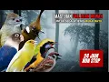 Download Lagu MASTERAN MURAI BATU FULL ISIAN TEMBAKAN MEWAH