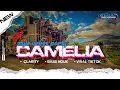 Lagu DJ CAMELIA || STYLE PARTY OJING PLAT K FROM EVAN DISCJOCKEY