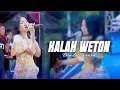 Download Lagu KALAH WETON - DINDA TERATU - GG MUSIC (Live Performance)