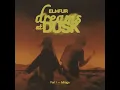 Desert Skies