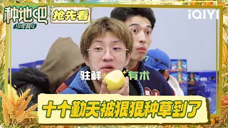 preview the ten hardworking are totally hooked become a farmer s4 iqiyi lifeshow