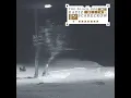 Digital Poacher
