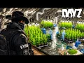 BUILDING a SECRET DRUG EMPIRE - DayZ Movie