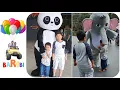 Download Lagu BarAbi Bermain dengan Badut Panda dan Badut Gajah, Seru Banget...😁!!!