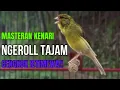 Download Lagu SUARA BURUNG Kenari GACOR PANJANG INI Cocok untuk Masteran KENARI PAUD dan Kenari Macet BUNYI